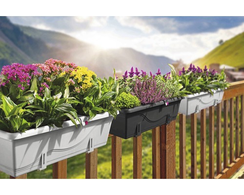 Drei Balkonkästen mit verschiedenen Blumen auf einem Holzbalkon