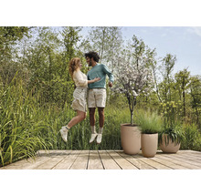 Ein Paar springt auf einer Holzterrasse neben Pflanzgefäßen in die Luft, im Hintergrund Bäume.