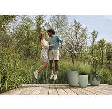 Ein Paar springt auf einer Holzterrasse neben drei Pflanzgefäßen.