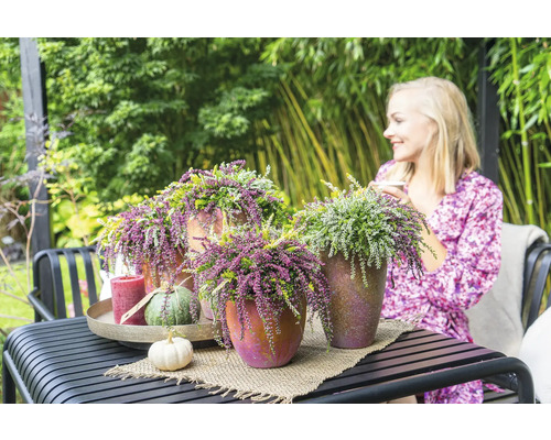 Tischdekoration im Garten mit Erika Pflanzen in Töpfen, Kerze und Kürbissen