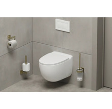 Wandhängendes WC mit Toilettenpapierhalter und WC-Bürstengarnitur in einem Badezimmer