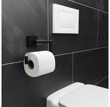 Toilettenpapierspender aus Metall, Toilettenspülung und Toilette im Badezimmer