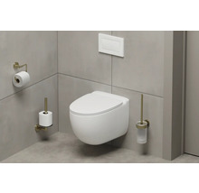 Wandhängendes WC mit Toilettenpapierhalter, Toilettenbürste und Betätigungsplatte in modernem Badezimmer