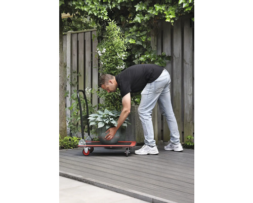 Mann transportiert Topfpflanze mit einem Rollbrett im Garten.