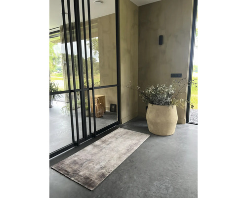 Flur mit Teppich, Pflanztopf und Glastür