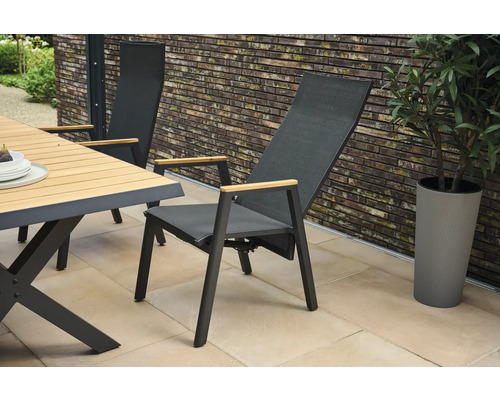 Gartenmöbel-Szene mit Tisch, Stühlen und Pflanze im Topf
