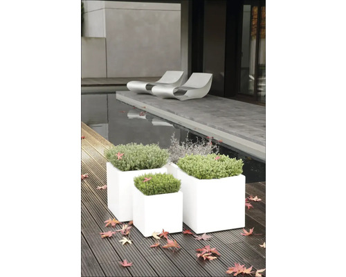 Quadratische Pflanzkübel aus Kunststoff mit Pflanzen auf einer Holzterrasse