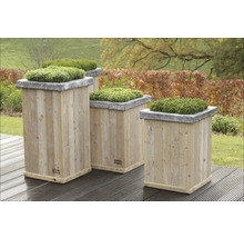 Mehrere Pflanzkästen aus Holz mit grünen Pflanzen darauf im Garten.