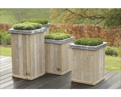 Mehrere Pflanzkästen aus Holz mit grünen Pflanzen darauf im Garten.