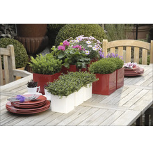 Dekorativer Gartentisch mit roten und weißen Pflanzgefäßen sowie Geschirr.