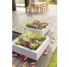 Zwei bepflanzte, rechteckige Betonblumenkästen auf einer Terrasse mit Holzboden