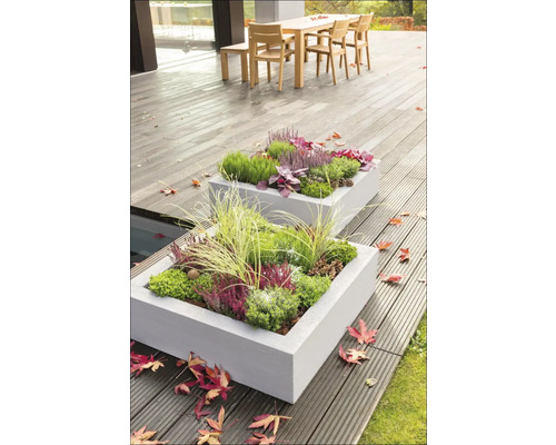 Zwei bepflanzte, rechteckige Betonblumenkästen auf einer Terrasse mit Holzboden
