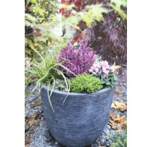 Blumenarrangement in Pflanzgefäß im Garten