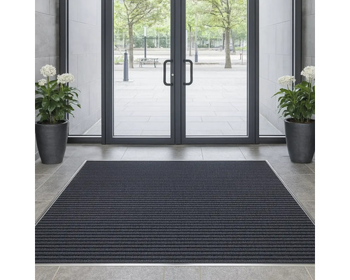 Eingangsbereich mit Fußmatte, Topfpflanzen und Glastür