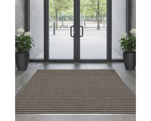 Eingangsbereich mit Fußmatte, Tür und Topfpflanzen