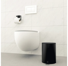 Szene mit einer hängenden Toilette, einem Toilettenpapierhalter, einer Betätigungsplatte und einem Treteimer.