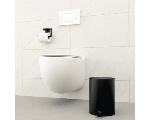 Szene mit einer hängenden Toilette, einem Toilettenpapierhalter, einer Betätigungsplatte und einem Treteimer.