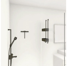 Badezimmer mit Duscharmatur, Abzieher und Duschregal