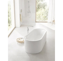 Modernes Badezimmer mit freistehender Badewanne, Duschbereich und großem Fenster