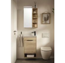 Badezimmer mit Waschtisch, Spiegelschrank und Toilette