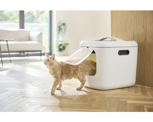 Katze betritt eine geschlossene Katzentoilette in einem hellen Wohnraum.