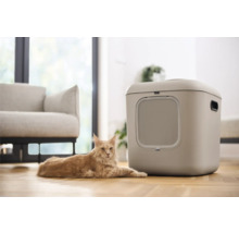 Katze liegt neben einer geschlossenen Katzentoilette im Wohnzimmer.