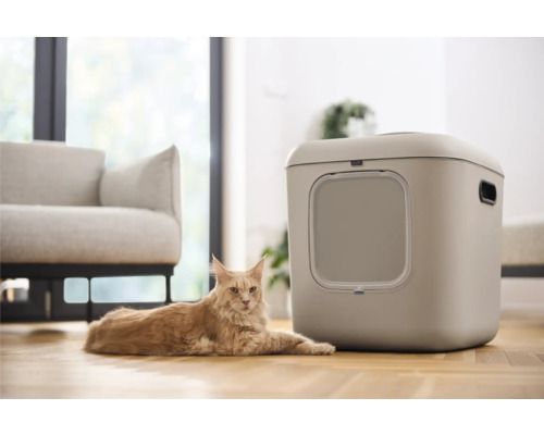 Katze liegt neben einer geschlossenen Katzentoilette im Wohnzimmer.