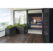 Terrasse mit Holzfußboden, Pflanzenkübeln und Blick in eine Küche