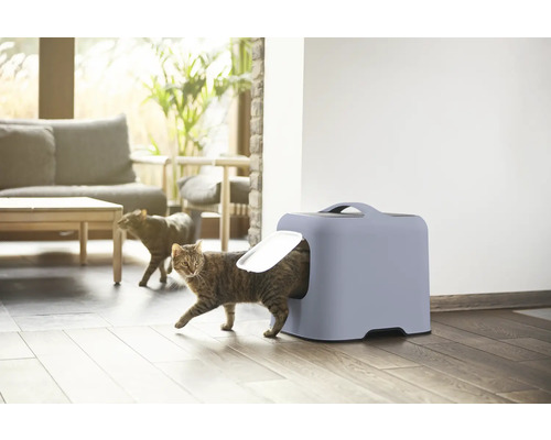 Katze, die eine geschlossene Katzentoilette in einem hellen Raum verlässt.