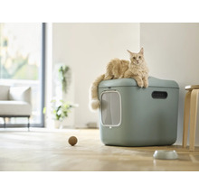 Katze auf Katzentoilette mit Eingangstür und Spielball