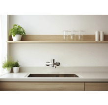 Küchenspüle mit Armatur, Arbeitsplatte und Regal mit Dekoration