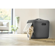 Katze verlässt Katzentoilette im Innenraum