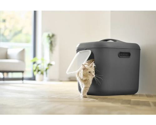 Katze verlässt Katzentoilette im Innenraum