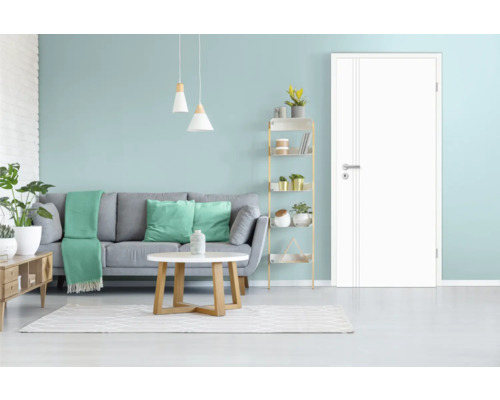 Wohnzimmer mit Sofa, Tisch, Regal und Innentür