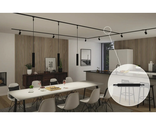 Wohnraum mit Esstisch und schwarzem Stromschienensystem mit Strahlern und Pendelleuchten
