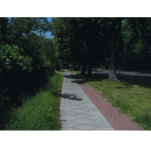 Szene einer Pflasterstraße mit Bäumen und Grünflächen