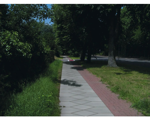 Szene einer Pflasterstraße mit Bäumen und Grünflächen