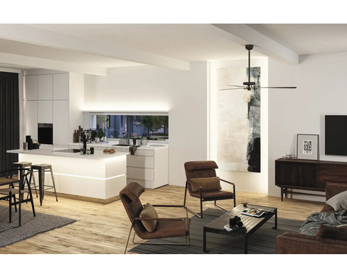 Helles Wohnzimmer mit Deckenventilator, Küche, Sesseln und Holzboden