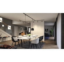 Modernes Esszimmer mit Esstisch, Stühlen und Schienenstrahlern