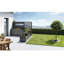 Gestufte Pflanzkästen mit Sichtschutzwand und bepflanzter Terrasse