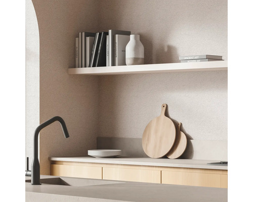 Küchenszene mit Spüle, Armatur, Schneidebrettern und Regal