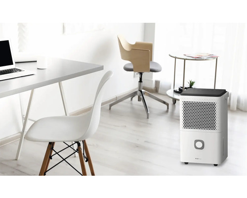 Szene eines Arbeitszimmers mit einem Luftentfeuchter, einem Schreibtisch, zwei Stühlen und einem Beistelltisch.