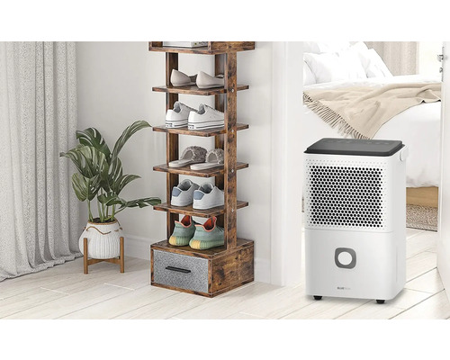 Dekorative Szene mit einem Schuhregal aus Holz und einem Luftentfeuchter im Hintergrund