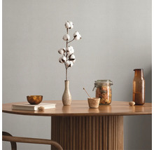 Dekoratives Arrangement auf einem Holztisch mit Baumwollzweig in einer Vase, Schale, Glas mit Inhalt und Krug