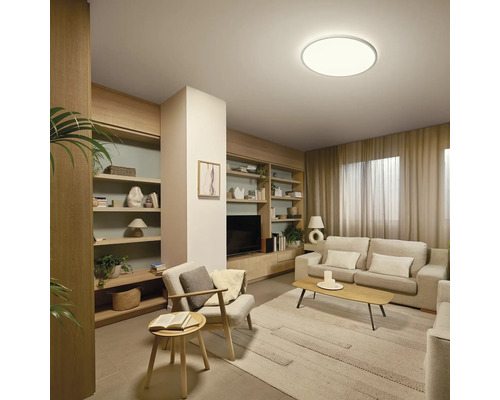Wohnzimmer mit Regalen, Sofa, Sessel, Teppich und Deckenleuchte.