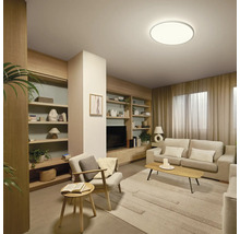 Wohnzimmer mit Sofa, Regalen, Sessel und runder Deckenleuchte