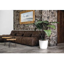 Wohnzimmer mit braunem Sofa, Holztischen und Zimmerpflanze in weißem Topf vor einer Steinwand