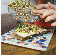 Eine Person verteilt Sprossen mit einem Sieb auf einem Brot mit Aufstrich.