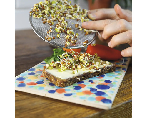 Eine Person verteilt Sprossen mit einem Sieb auf einem Brot mit Aufstrich.