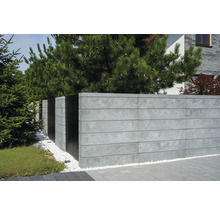 Graue Betonzaun mit schwarzen Zaunelementen und Pflanzen im Garten